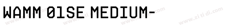 Wamm 01SE Medium字体转换